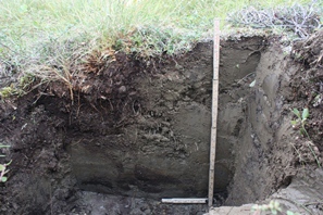 cryoturbated soil